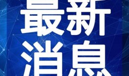 媒体爆料鲨鱼视频大全最新,惊险瞬间，海洋霸主全纪录