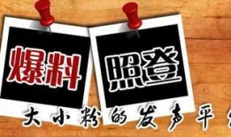 重庆李先生最新爆料,揭秘XX事件背后惊人真相