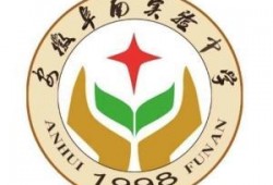 阜南实验中学最新爆料,揭秘校园风云背后的真相！”